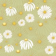 Camomile background