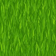 Grass