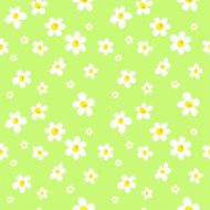Daisy Field Pattern Background