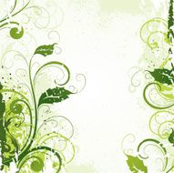 Vegetative background N2