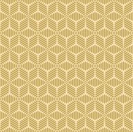 geometric pattern of strips