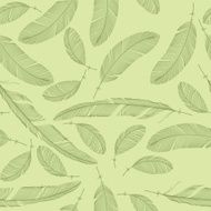 Feathers laid out as a seamless pattern