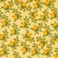 Vintage Wallpaper with Yellow Roses