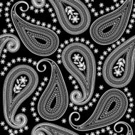 paisley N24