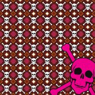 skulls N6