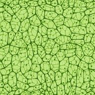 Biological cells Seamless pattern