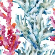 Corals with shells and crabs