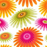 Spring patterns N13