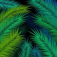 Tropical background with palm leaves Vector illustration