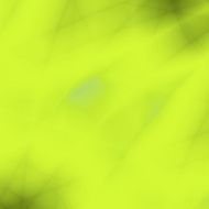 Green bright nature website illustration design
