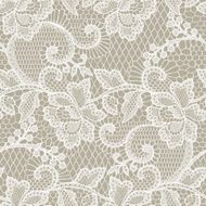 Lace seamless pattern N60
