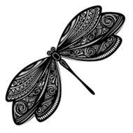 Vector Beautiful Dragonfly Exotic Insect