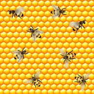 Honey bee seamless pattern