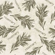 Seamless pattern with rosemary Hand-drawn floral background Monochrome vector illustration