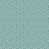 hexagonal blocks