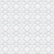 Web N19