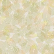 Colorful autumn leaves plus EPS10