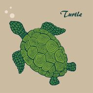 Turtle 1
