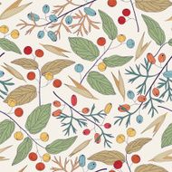 Berries N2