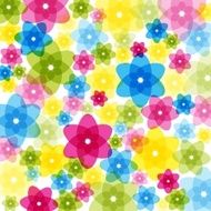 Colorful Transparent Flowers