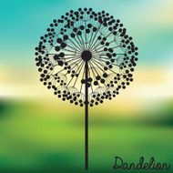 Flowers design N22