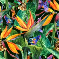 Tropical seamless pattern with exotic flowers N2