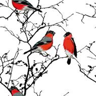 Bullfinches on the branch seamless vector pattern