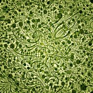 Floral illustration vector background