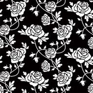White roses at black