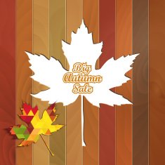 Big Autumn Sale Autumnal Maple Leaf on a wooden background N4