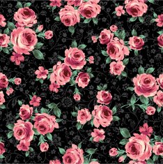 repetition of the rose
