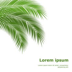 tropical leaves N5