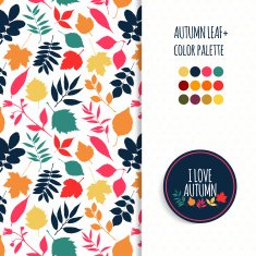 Autumn fall leaf N6