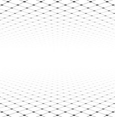 Perspective grid surface N2