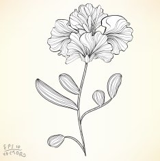 Floral Elements for design N3
