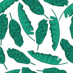 Banana leaves pattern N2