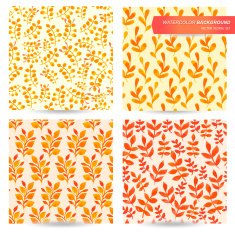 Vector Illustration with original floral background N15