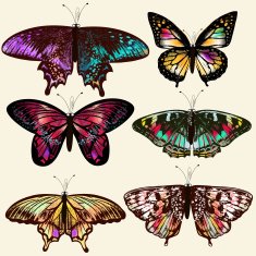 vector realistic butterflies for design