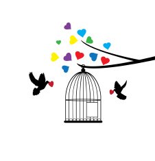 Doves N2