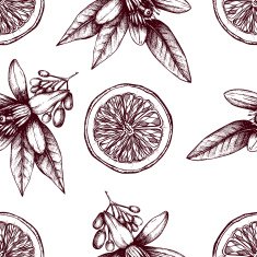 Citrus seamless pattern with orange fruits and flowers