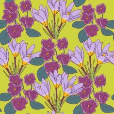 Violet flowers N2