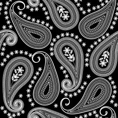 paisley N24