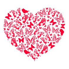 Heart of butterflies