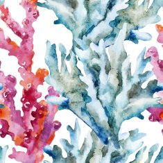 Corals with shells and crabs