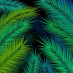 Tropical background with palm leaves Vector illustration