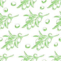 green olive branches