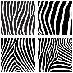 Four Zebra Skins (vector)