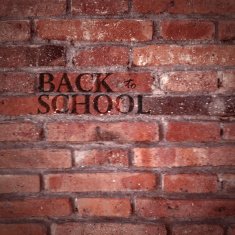 vector texture of red brick wall back to school N2