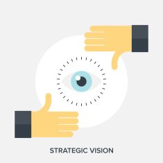 Strategic Vision N2