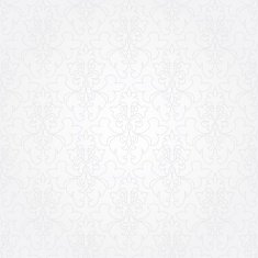 Damask Wallpaper Pattern N67